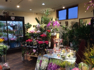 「Ｆｌｏｗｅｒ　Ｓｈｏｐ　いずみ」　（三重県松阪市）の花屋店舗写真3